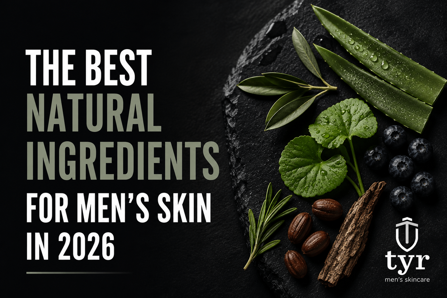 The Best Natural Ingredients for Men's Skin in 2026